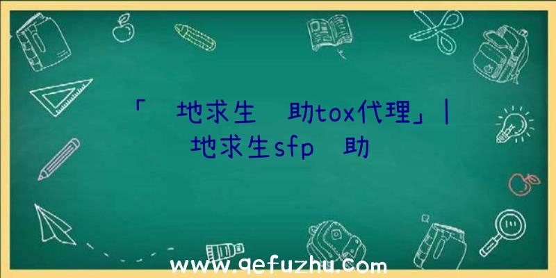 「绝地求生辅助tox代理」|绝地求生sfp辅助